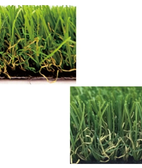 クローバーターフ