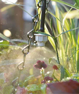 自動散水システム