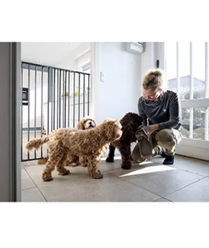 ペットゲート（屋内専用）チャーリー