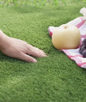 ペンタゴンスターグラス  国産人工芝